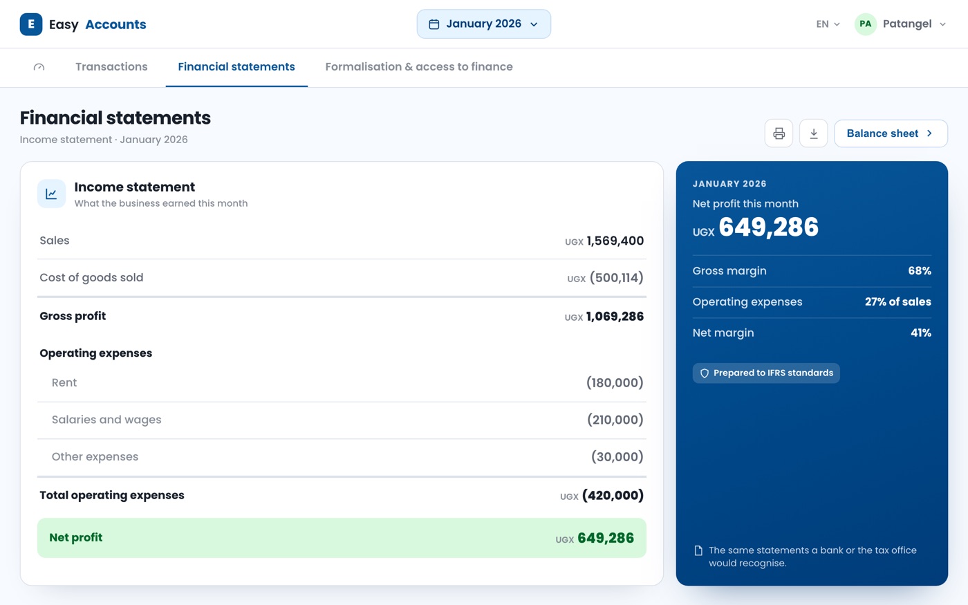 Financial statements generated from the daily entries